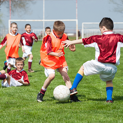 Sports & Recreation
